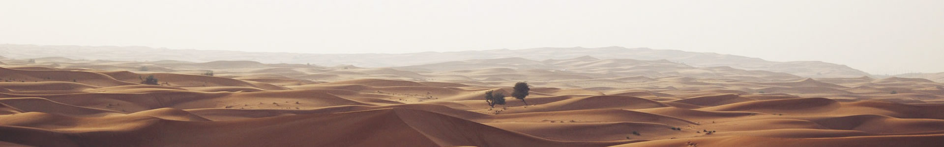 ϺտܿƼ޹˾